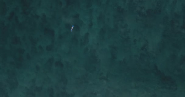 Aerial view of surfer in ocean — Stock Video