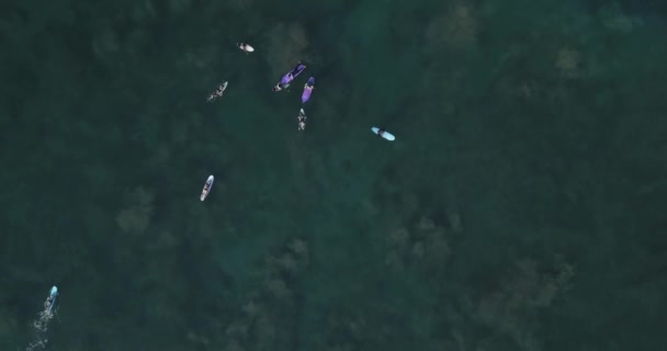 Luftaufnahme von Surfern am Strand von Kuta — Stockvideo
