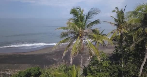 Vista aérea das palmas das mãos na praia — Vídeo de Stock