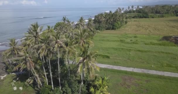 Widok z lotu ptaka na plażę — Wideo stockowe