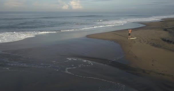 Vue aérienne du surfeur à la plage — Video