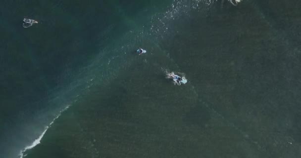 Вид сёрферов с воздуха на пляж Баланган — стоковое видео