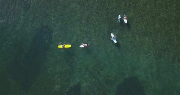 Vista aérea de los surfistas en la playa de Balangan — Vídeo de stock