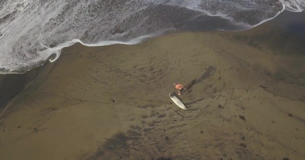 Vista aérea del surfista en la playa — Vídeos de Stock