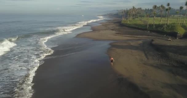Vista aérea del surfista en la playa — Vídeo de stock