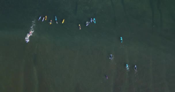 Luchtfoto van surfers op Balangan strand — Stockvideo