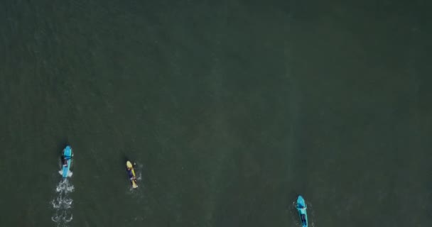 Luchtfoto van surfers op Balangan strand — Stockvideo