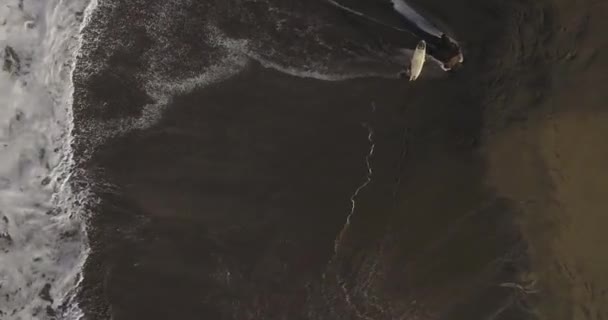 Aerial view of surfer at the beach — Stock Video