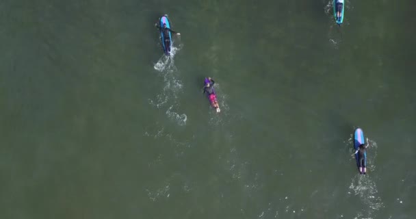 Veduta aerea dei surfisti sulla spiaggia di Balangan — Video Stock