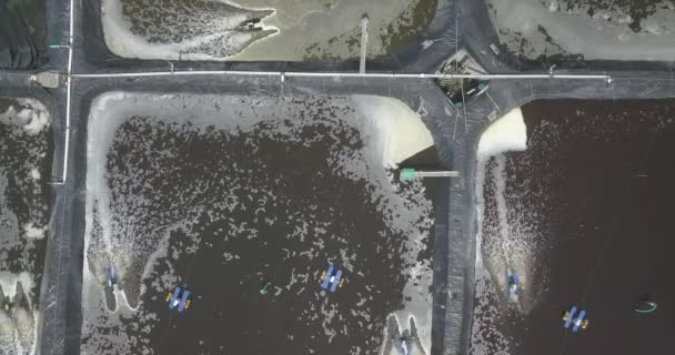 Luchtfoto van garnalenkwekerij — Stockvideo