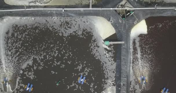 Vue aérienne de la ferme de crevettes — Video