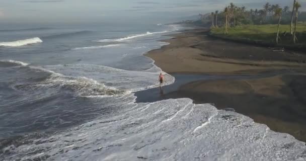 Вид сёрфера с воздуха на пляж — стоковое видео