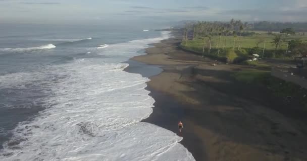 Vista aérea do surfista na praia — Vídeo de Stock