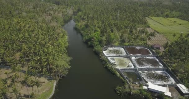 Vue aérienne de la ferme de crevettes 