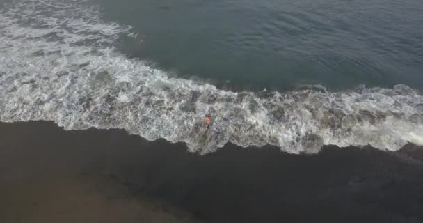 Vista aérea do surfista na praia — Vídeo de Stock