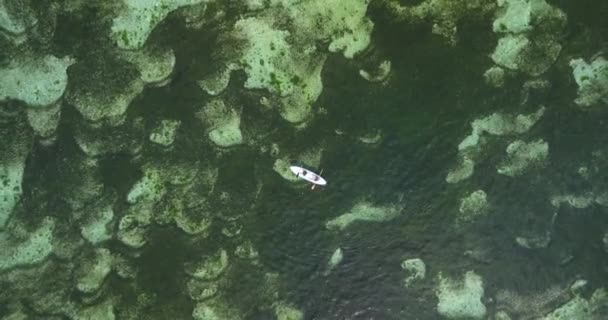 Vista aérea de kayakistas acolchados en el Océano Índico — Vídeos de Stock
