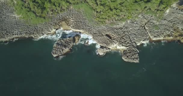 Vue aérienne du littoral rocheux — Video