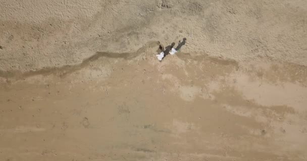 Salvavidas recogiendo basura en la playa — Vídeo de stock