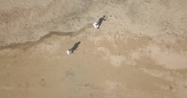 Salvavidas recogiendo basura en la playa — Vídeo de stock