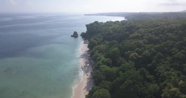 Veduta aerea della spiaggia di Thomas — Video Stock