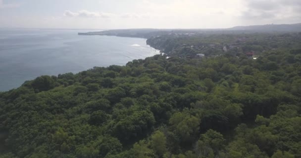 Aerial view of Thomas beach — Stock Video