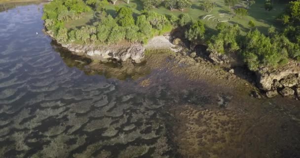 岩の多い海岸線の空中風景 — ストック動画