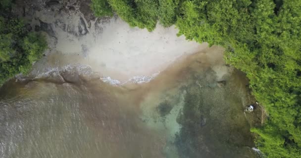 Letecký pohled na tropickou pláž — Stock video