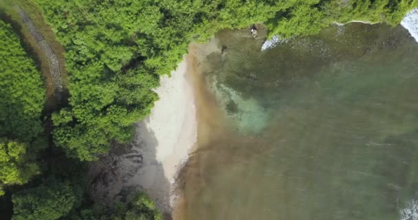 Вид с воздуха на тропический пляж — стоковое видео
