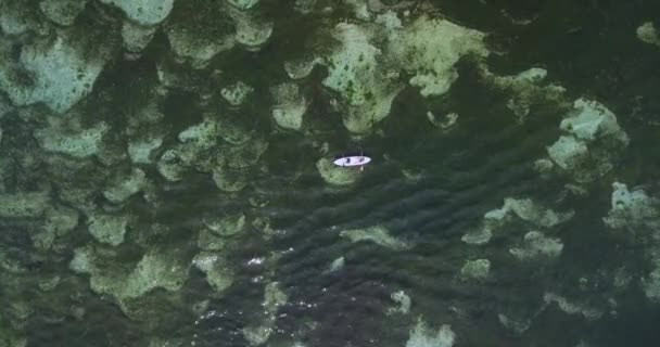 Vista aerea di kayakers padlling a Oceano Indiano — Video Stock