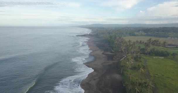 Widok z lotu ptaka na Kedungu Beach — Wideo stockowe