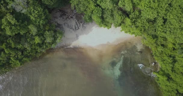 Vista aérea da praia tropical — Vídeo de Stock