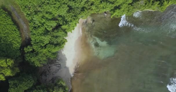 Vedere aeriană a plajei tropicale — Videoclip de stoc