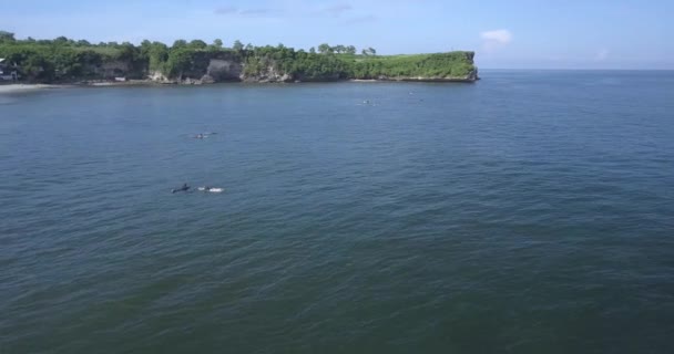 Luchtfoto van surfers op Balangan strand — Stockvideo