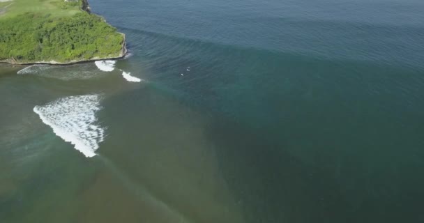 Luftaufnahme von Surfern am Strand von Balangan — Stockvideo