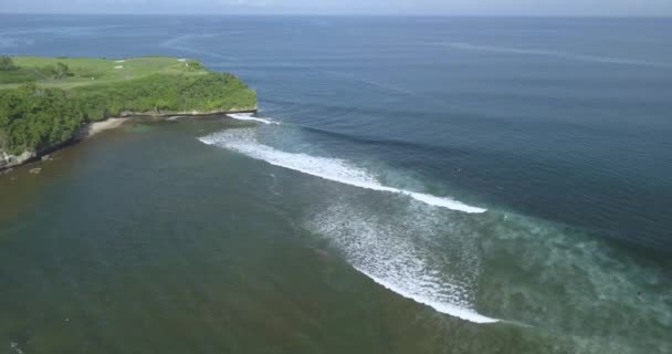 Luftaufnahme von Surfern am Strand von Balangan — Stockvideo