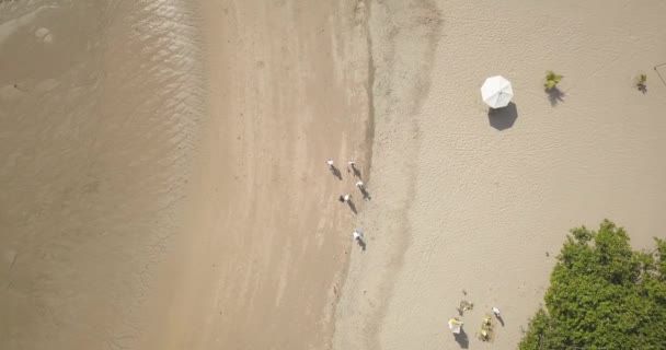 Vízimentők szemetet gyűjtenek a parton — Stock videók