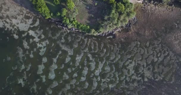 Luchtfoto van rotsachtige kustlijn — Stockvideo