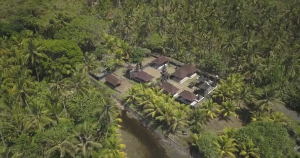 Vista aérea do templo balinês na floresta de palmeiras — Vídeo de Stock