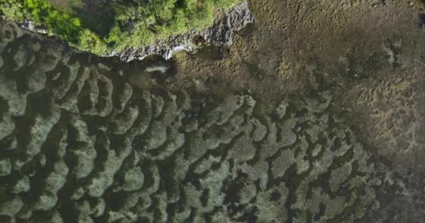 岩の多い海岸線の空中風景 — ストック動画