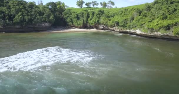 Luftaufnahme des tropischen Strandes — Stockvideo