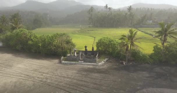 Luchtfoto van rijst ingediend aan de kust van de oceaan — Stockvideo
