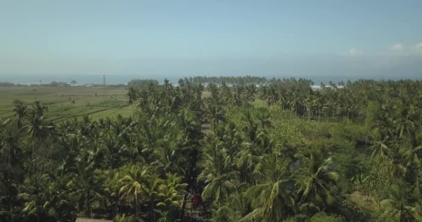 Вид с воздуха на балийскую церемонию — стоковое видео