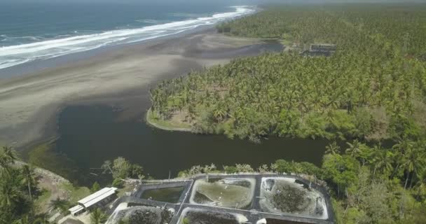 Vista aérea de la granja de camarones — Vídeos de Stock