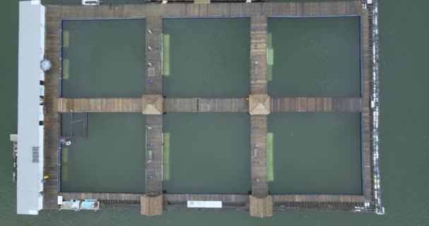 Vue aérienne du dauphinarium dans l'océan 