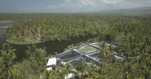 Aerial view of shrimp farm — Stock Video