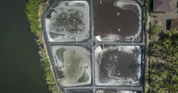 Vista aerea di allevamento di gamberetti — Video Stock
