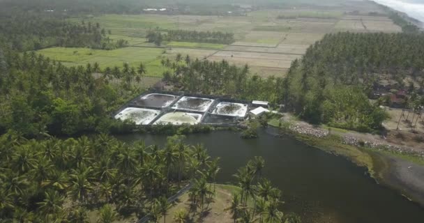 Vista aérea da fazenda de camarão — Vídeo de Stock