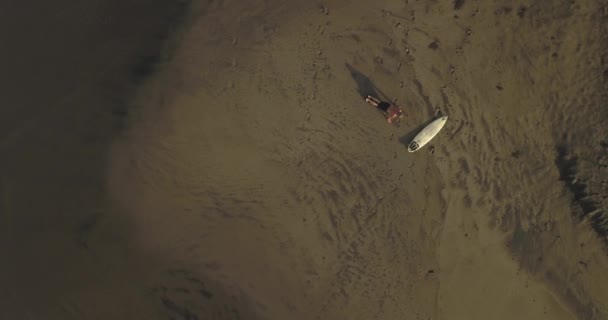 Veduta aerea del surfista in spiaggia — Video Stock
