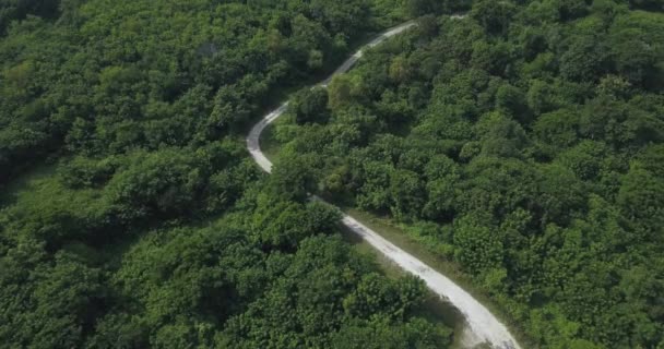 Vista aerea della strada nel bosco — Video Stock