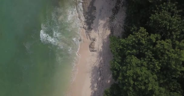 Luchtfoto van Thomas Beach, Padang Padang — Stockvideo